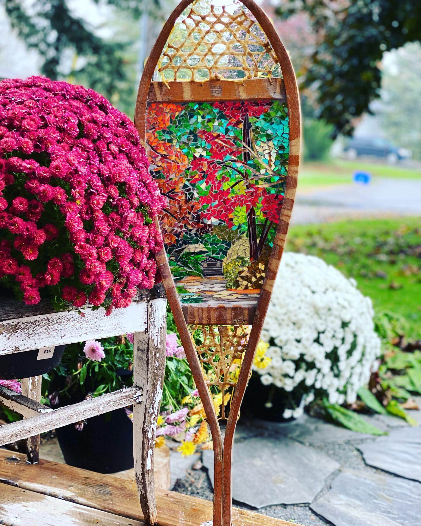 Snowshoes & Washboards