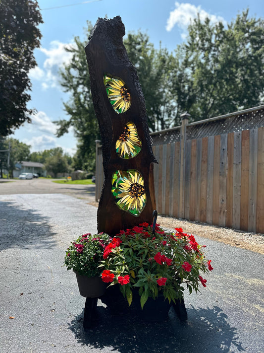 Sunflower trio handmade stained glass mosaic on live edge pine by Cindy Laneville Ontario Canada
